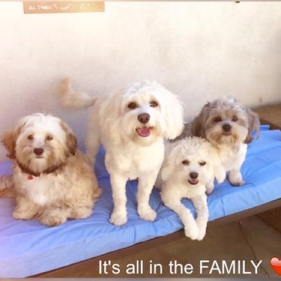 Meet your Posher, Amy - Picture 2 of 3